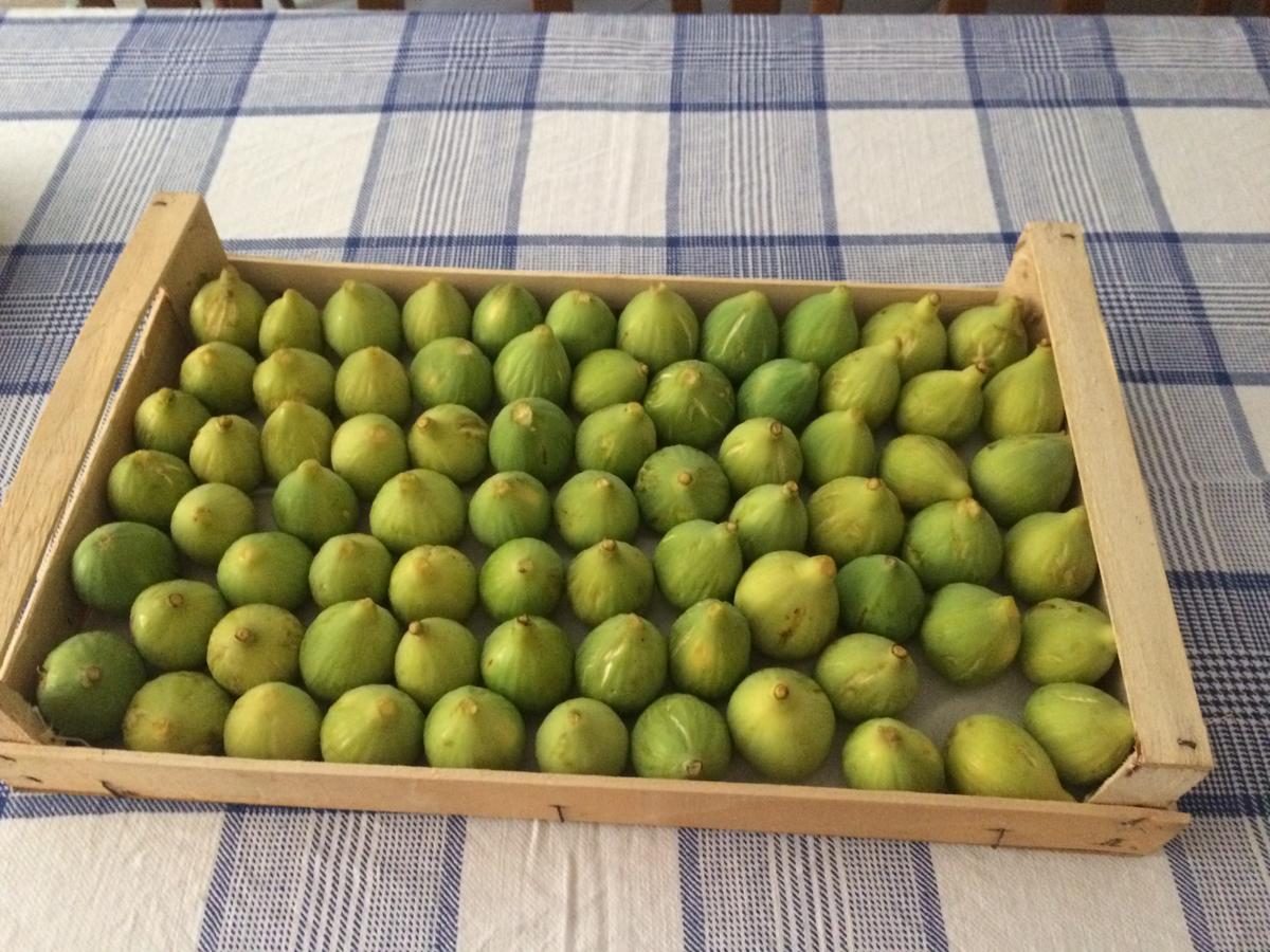 Prignano Cilento Pozzo Medievale المظهر الخارجي الصورة